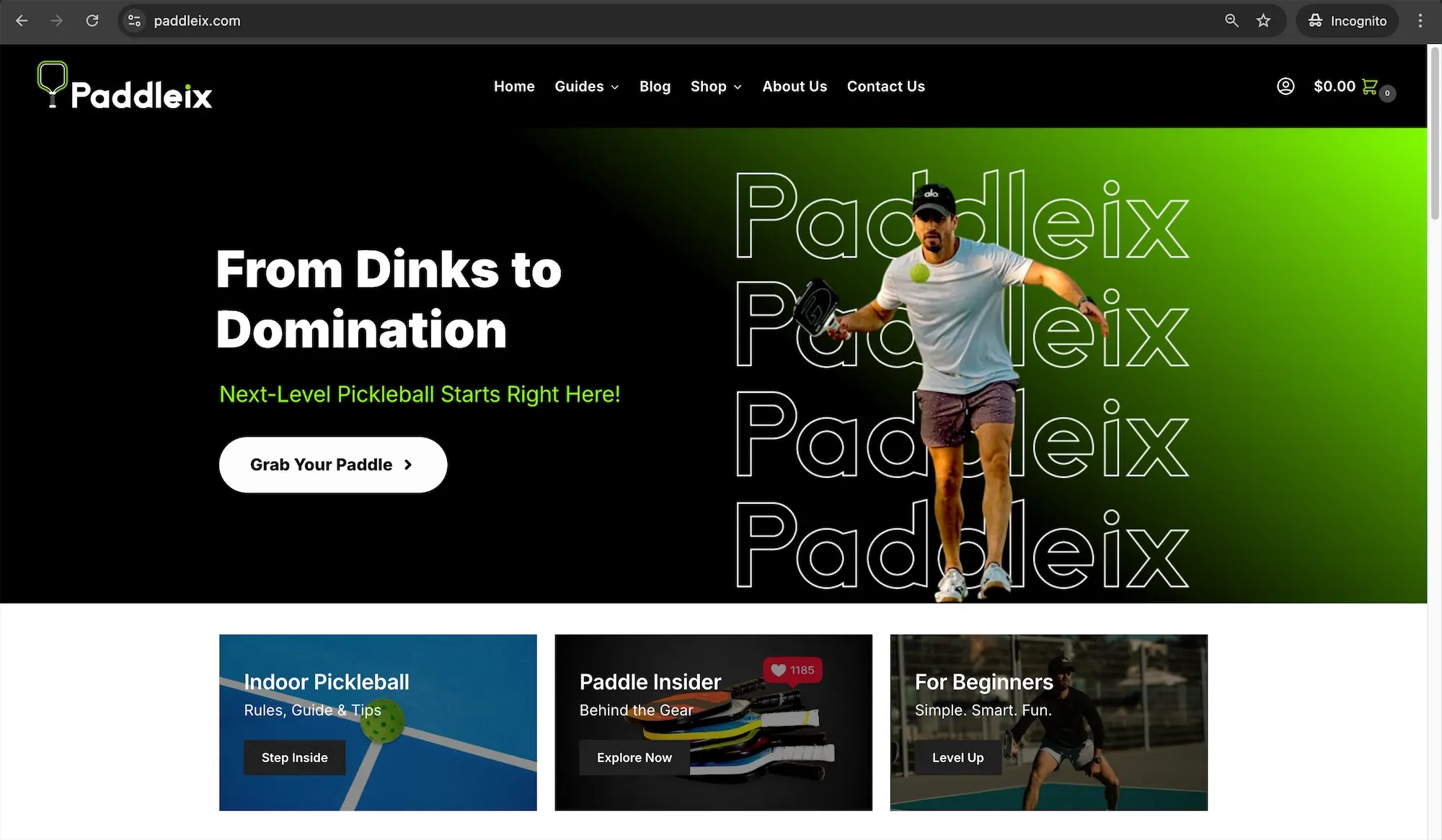 How I build paddleix website